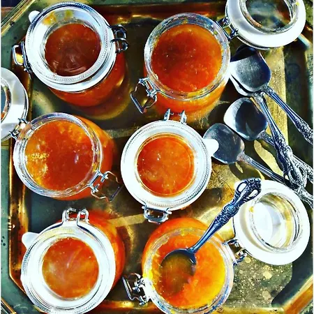 بيت ضيافة Tamara 3*