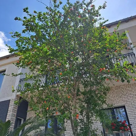 Tamara بيت ضيافة