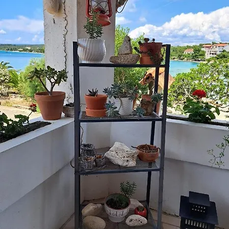 Tamara 3* 로비스테